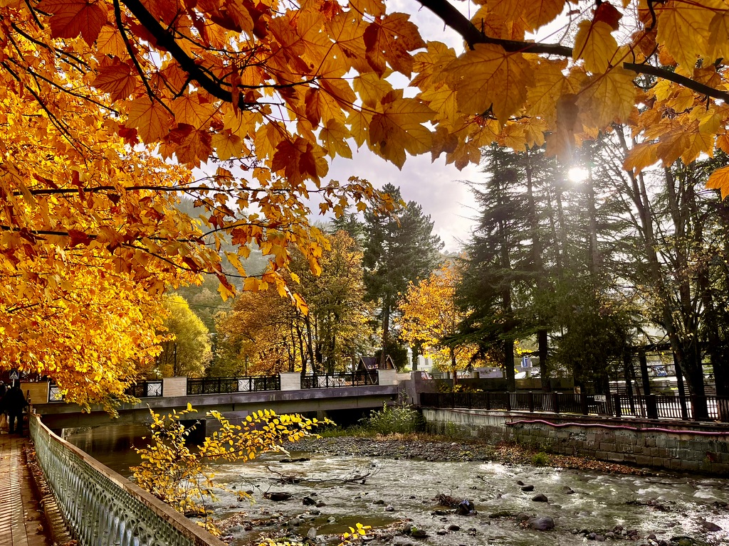 21A706B3 A664 4B63 9771 4CC4AF0C7B74 1 105 c 2